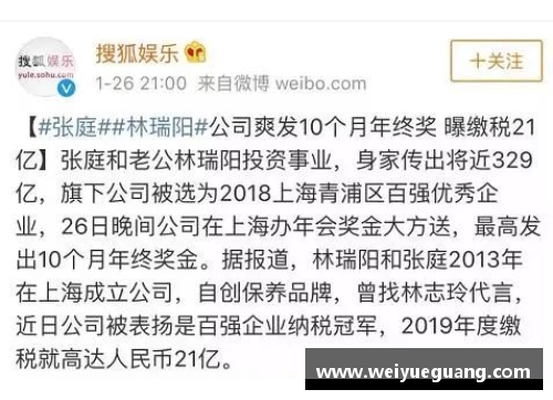 体育明星偷税漏税事件深度解析 公众人物与税务危机的终极对决