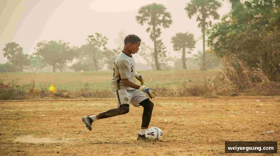 美嘉体育平台限量款来袭，手慢无！🚨🎯
